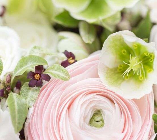 Фотообои лютик 21602