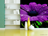Фотошпалери Фіолетовий квітка - 3