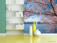 Фотошпалери сакура над річкою з фонтаном - 3