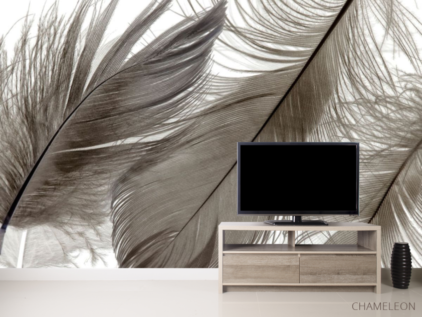 Фотообои Коричневые перья - 2