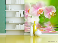 Фотообои Орхидеи розово-белые - 3
