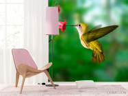 Фотошпалери Колібрі - 4