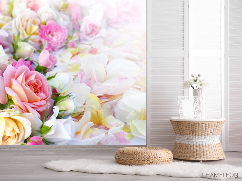 Фотошпалери ніжні троянди - 2