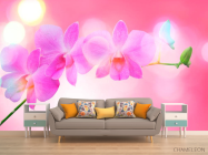 Фотообои Бледно-розовые цветы - 1