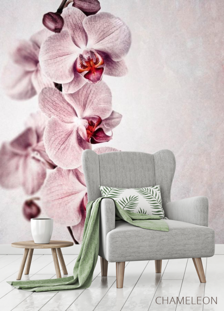 Фотообои Серенькие орхидеи - 3