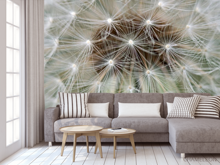 Фотообои семена на одуванчике - 3