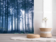 Фотошпалери ліс - 2