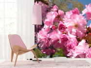 Фотошпалери рожеве цвітіння - 4