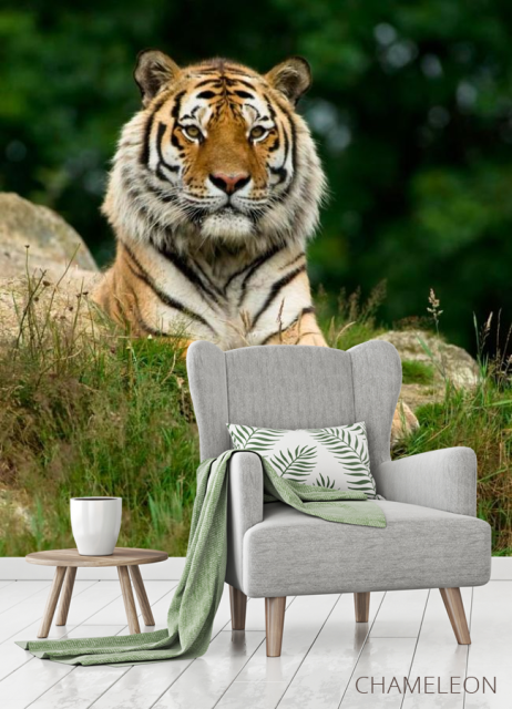 Фотообои Величественный тигр - 3