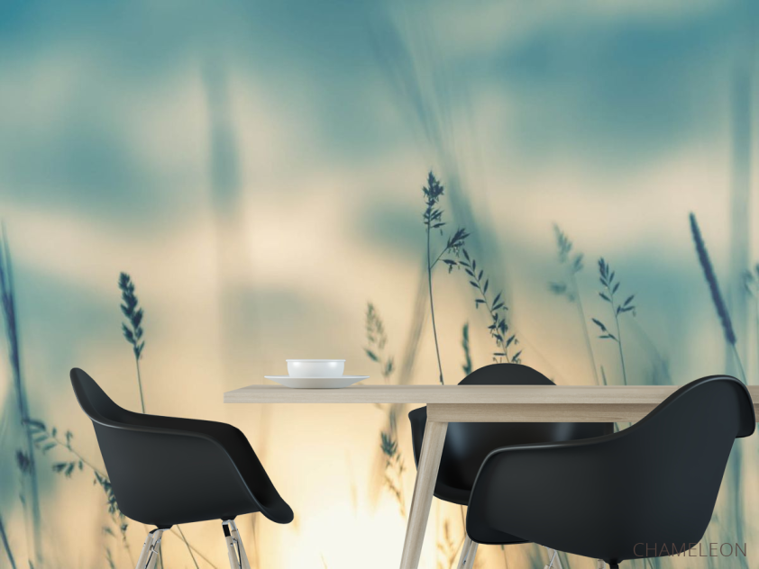 Фотошпалери сухоцвіти на заході сонця - 1