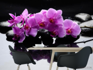 Фотошпалери Гілка орхідеї на каменях - 1