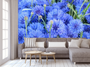 Фотообои Голубые васильки - 3