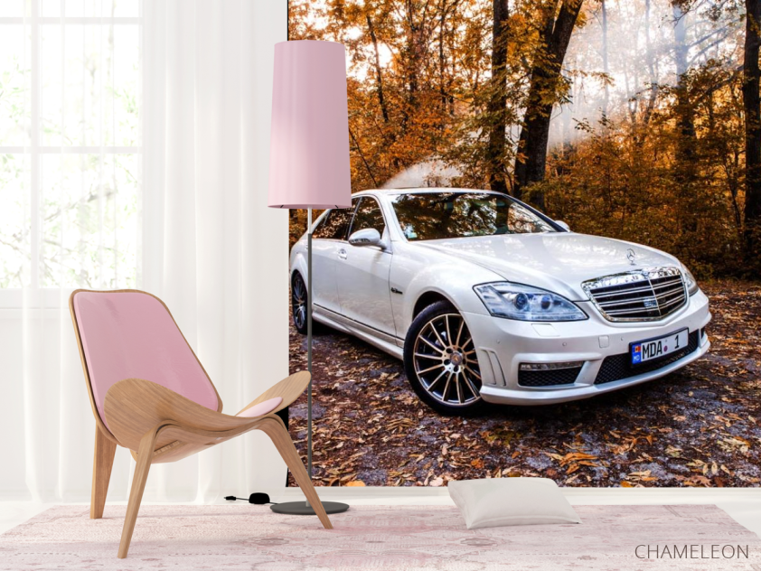 Фотошпалери біла машина в лісі - 4