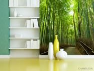 Фотошпалери алея через бамбук - 3