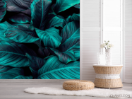 Фотошпалери Темно-зелене листя - 2