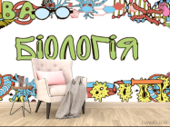 Фотообои Кабинет биологии - 4