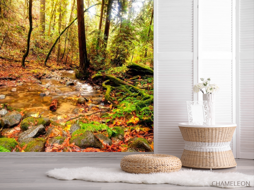 Фотошпалери Струмок у лісі - 2
