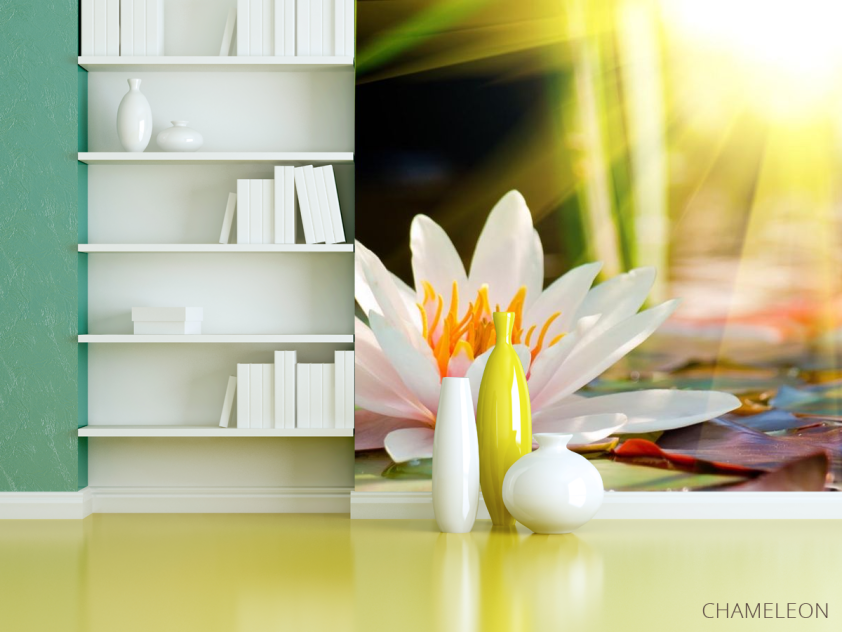 Фотошпалери біла водяна лілія - 3