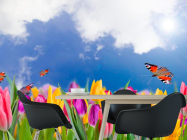 Фотошпалери Тюльпани і метелики - 1