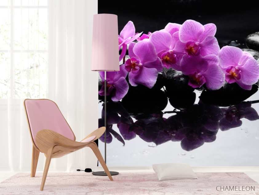 Фотошпалери Гілка орхідеї на каменях - 4