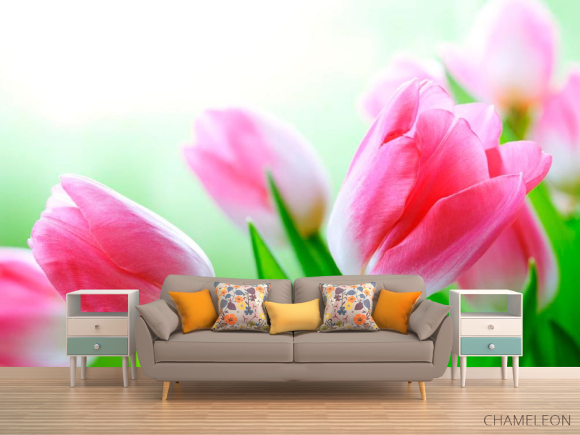 Фотообои Тюльпаны в цвету - 1