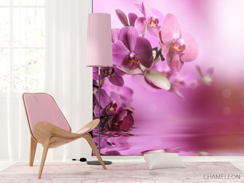 Фотошпалери рожеві орхідеї над водою - 4