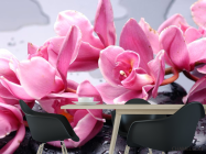 Фотошпалери Орхідеї блідо-рожеві - 1