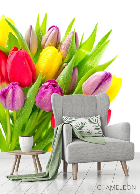 Фотообои разноцветные тюльпаны с каплями - 3