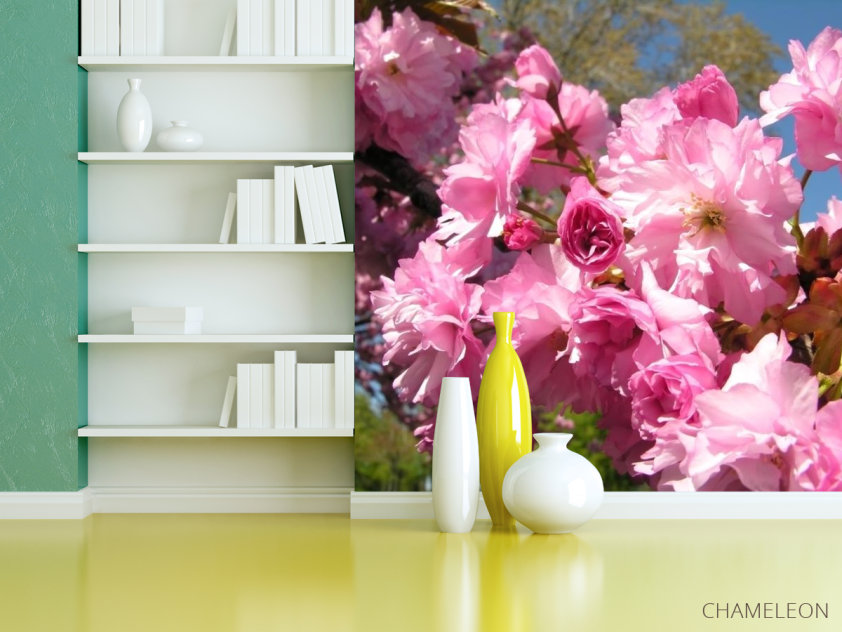 Фотошпалери рожеве цвітіння - 3