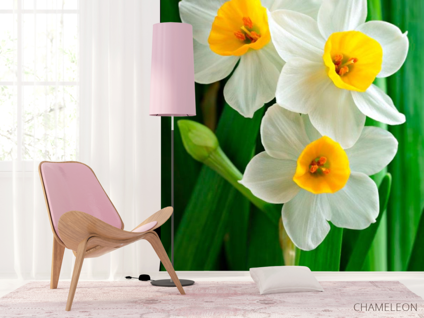 Фотошпалери Нарциси обынковенные - 4