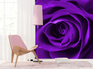 Фотошпалери Фіолетова троянда - 4