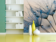 Фотошпалери кульбаби - 3