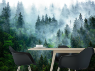 Фотошпалери ліс в тумані - 1