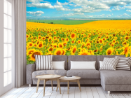 Фотообои Поле, засеянное подсолнухами - 3