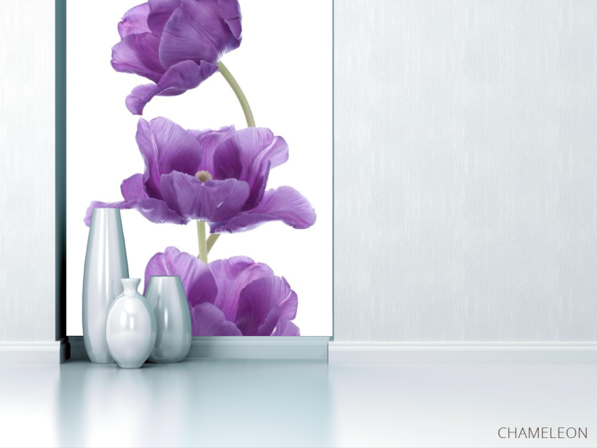 Фотообои фиолетовые тюльпаны - 1