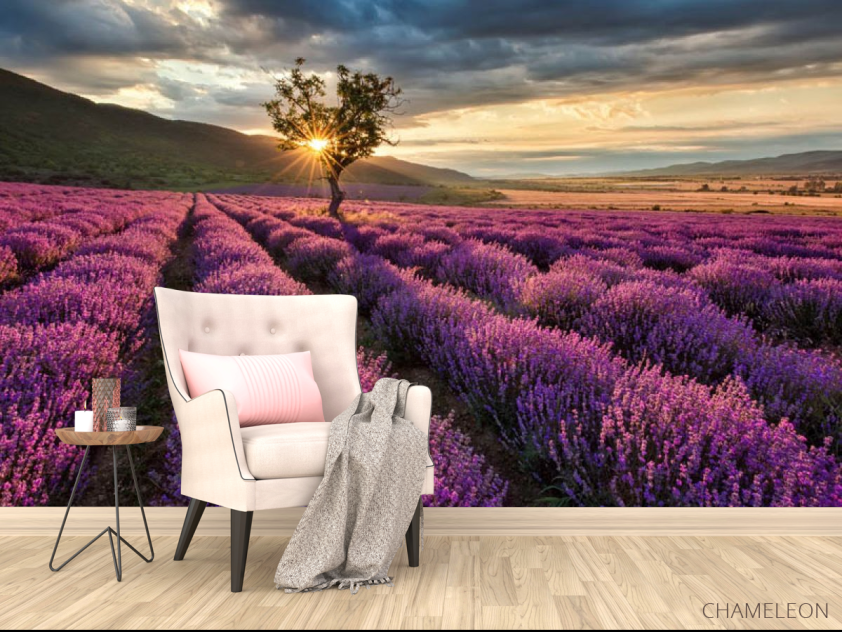 Фотообои Лавандовое поле - 4