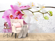 Фотообои Орхидеи розовые и белые - 4