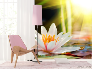 Фотошпалери біла водяна лілія - 4