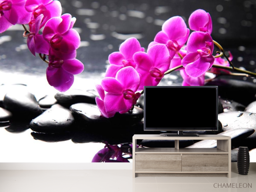 Фотообои Розовые цветы и камни - 2