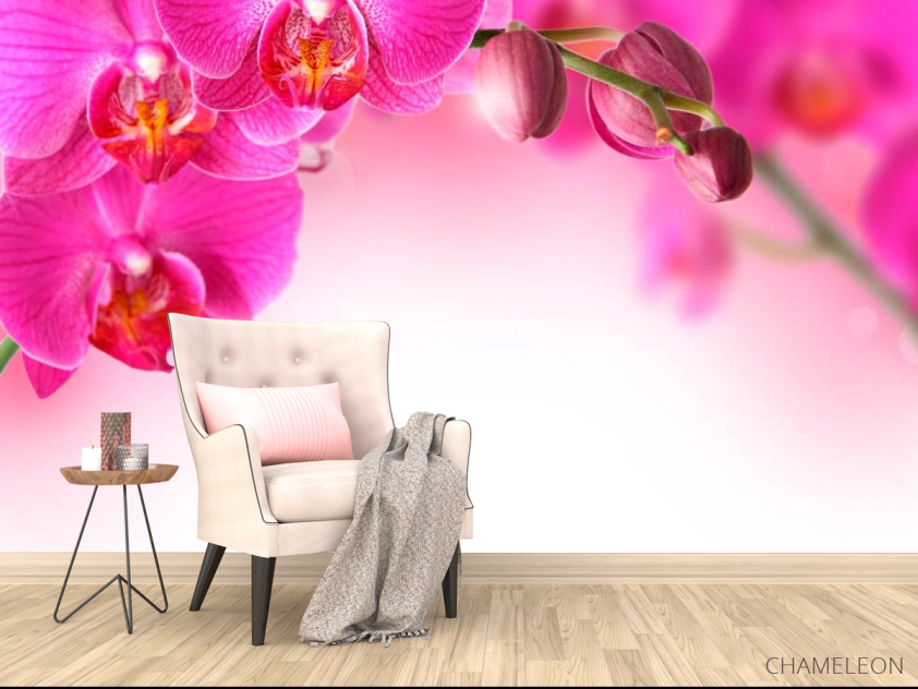 Фотообои Веточка орхидей розовых - 4
