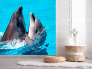 Фотошпалери Два дельфіна - 2