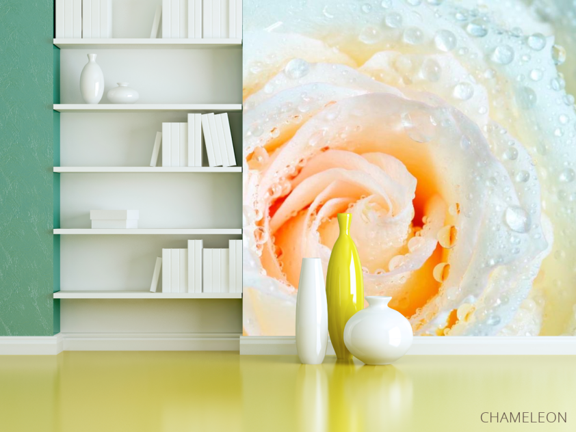 Фотошпалери Роза біло-бежева - 3