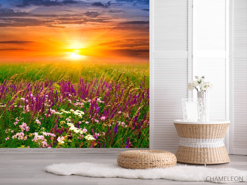 Фотошпалери Польові квіти, захід - 2
