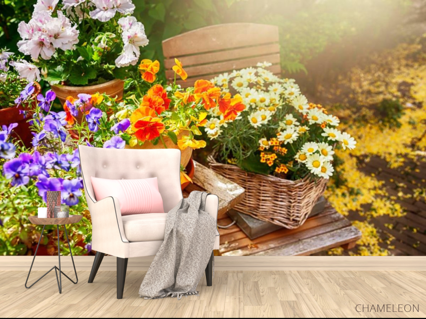 Фотообои Ромашки - 4