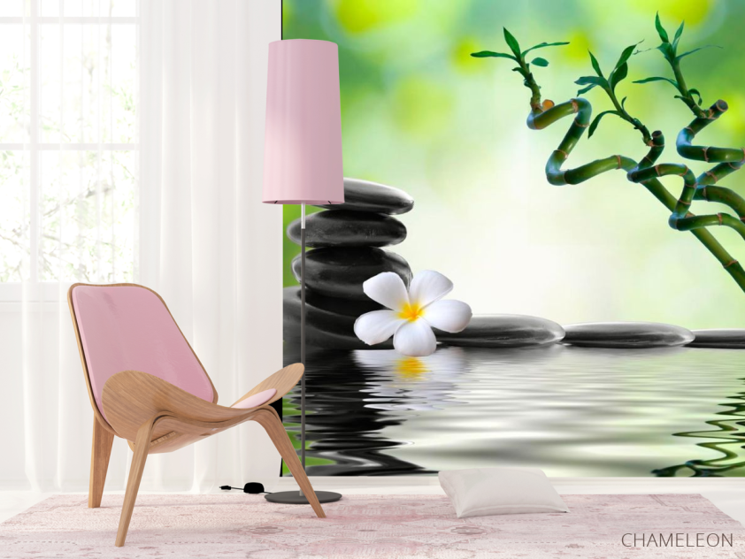 Фотошпалери Гілочки, камені, квітка - 4