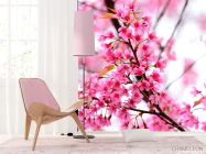 Фотошпалери Квітуче рожеве дерево - 4