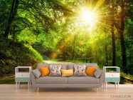 Фотообои Восход в лесу - 1