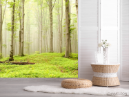 Фотошпалери Голі дерева - 2