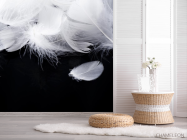 Фотошпалери білі пір'я на чорному тлі - 2