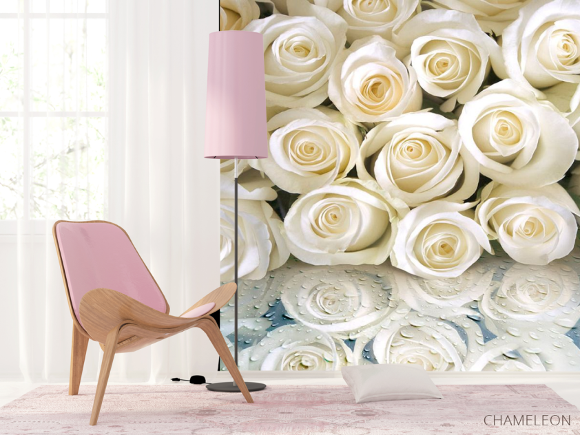 Фотошпалери Білі троянди з росою - 4